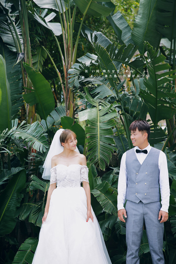 吴先生&徐女士